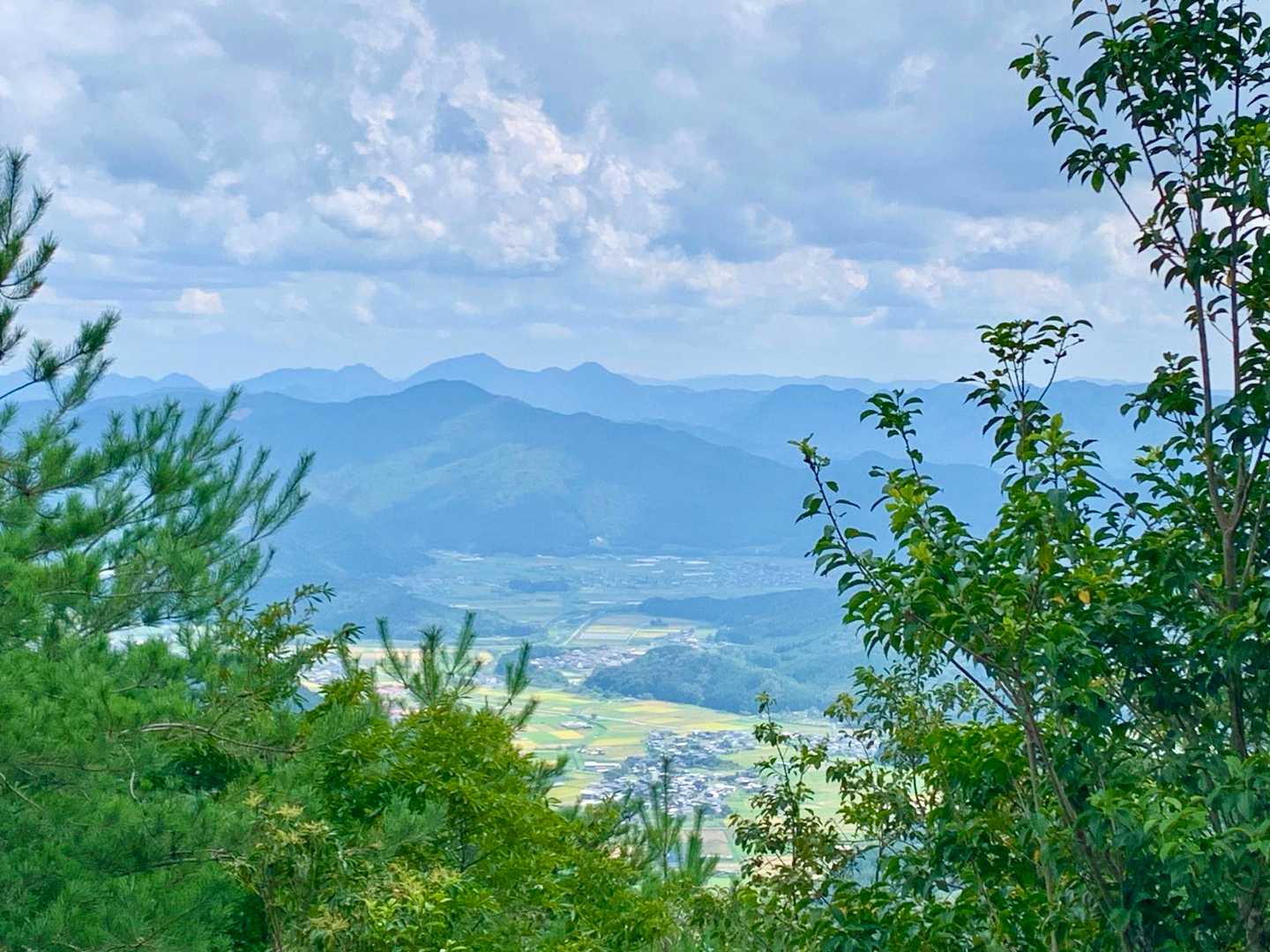 五台山-鷹取山-三和峠 周回コースの写真