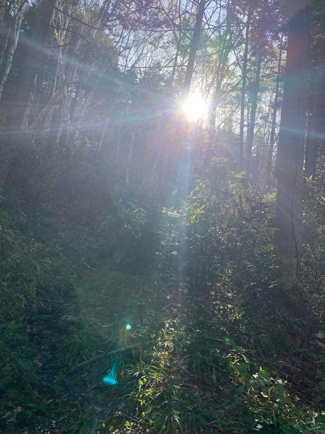 雁皮山・蝦夷松山登り口-蝦夷松山-雁皮山 往復コースの写真