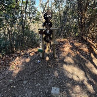 小笠山山頂標識と三角点