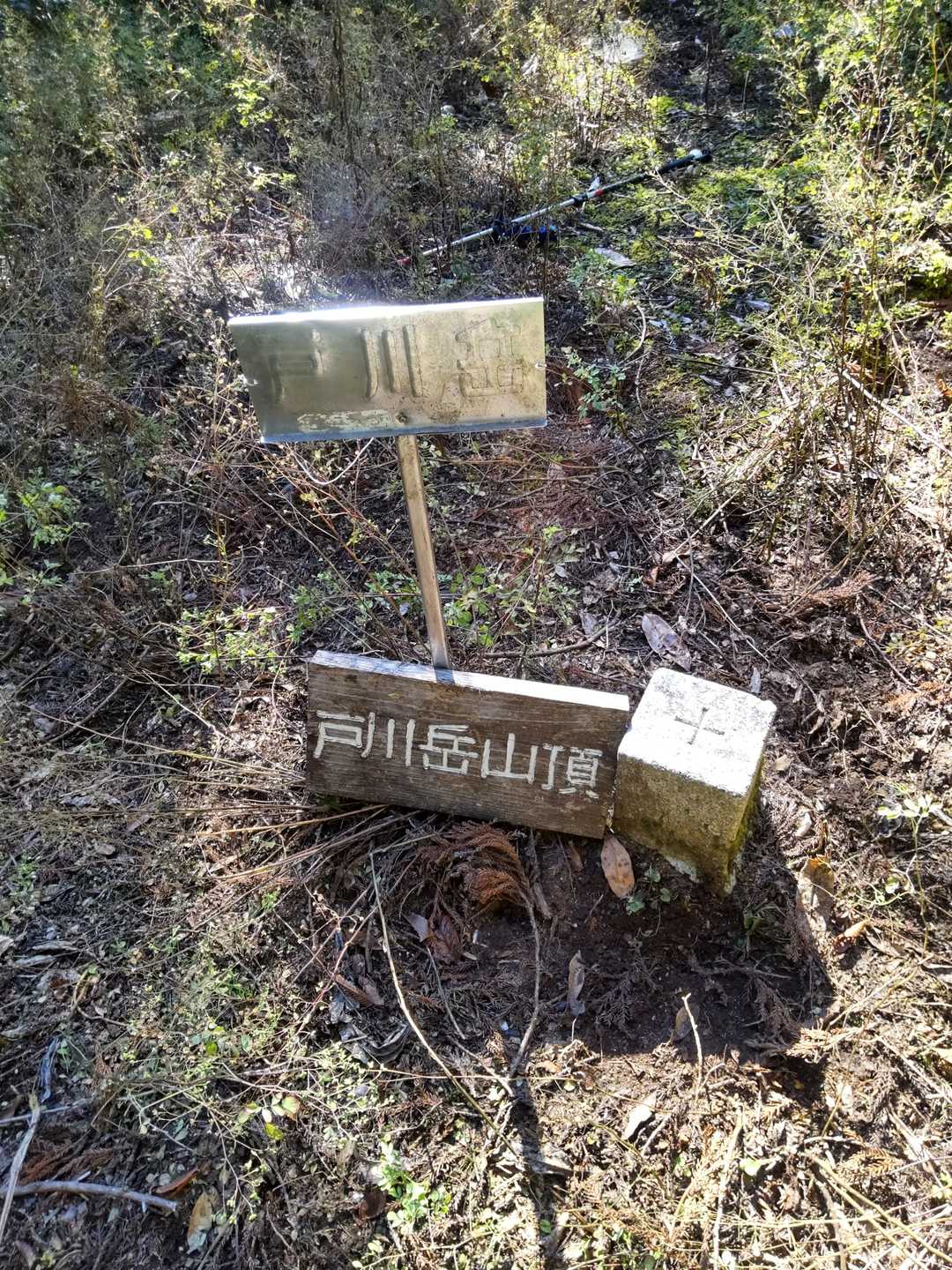 山頂三角点