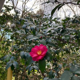 この先線路を超えて右手の階段を降りると御嶽駅までは50メートルほど