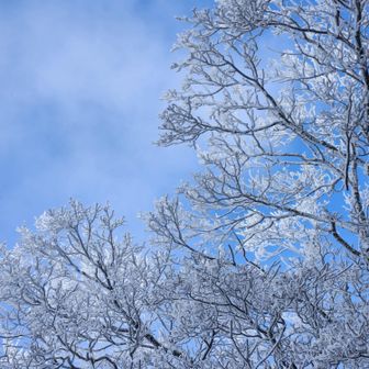 つかの間の青空