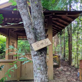 山に入り10分少々で山頂到着　ヒルチェック