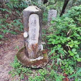 再び徳川道