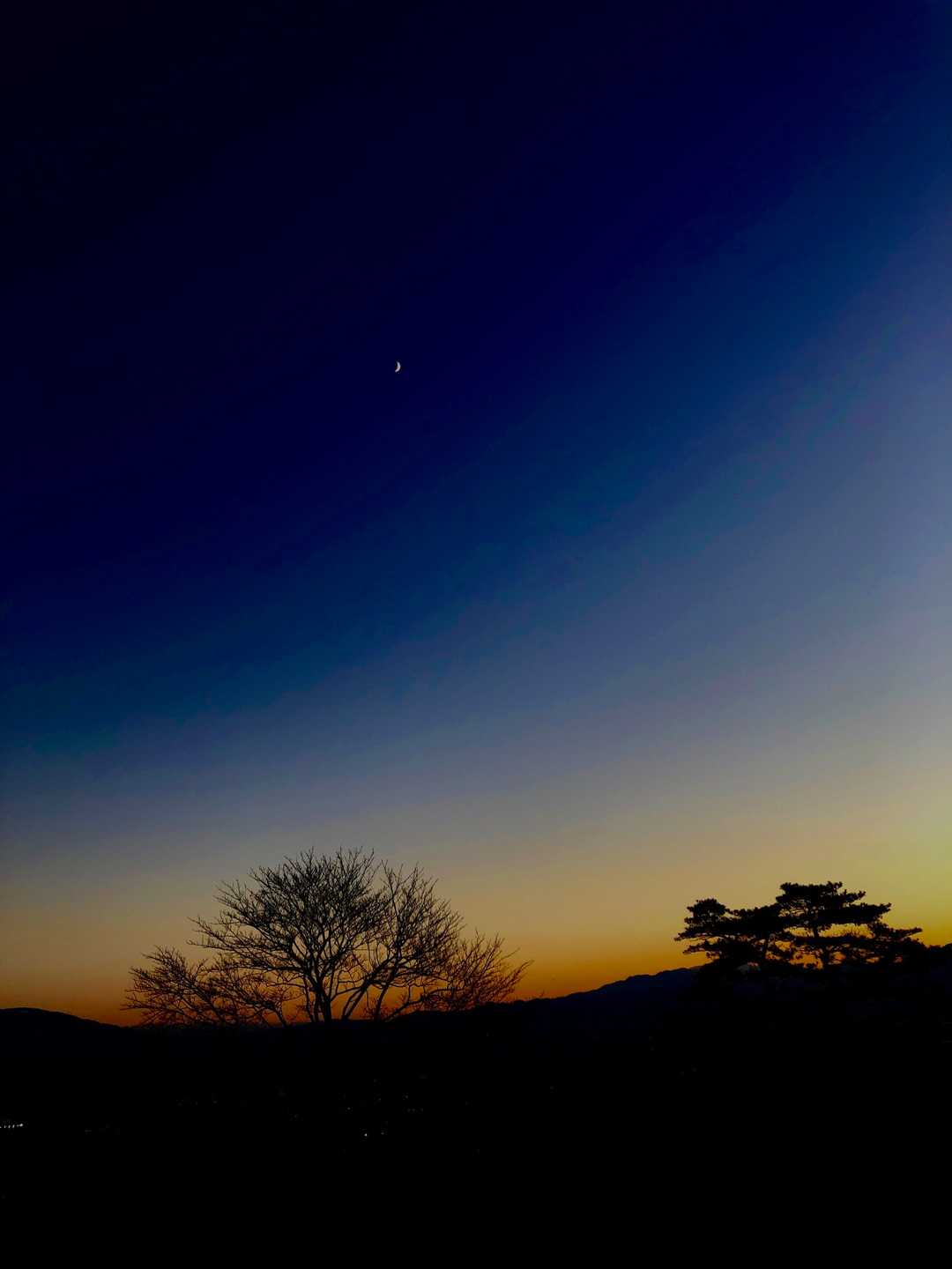 影絵みたいな風景
上の方にポツンと小さな三日月🌙