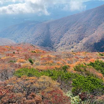 紅葉のピークは過ぎ、山肌はだいぶ色褪せていて残念。
でも、景色は最高！
