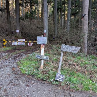 奥の駐車場5〜6台駐車、下山時は満車、路肩にも🚗