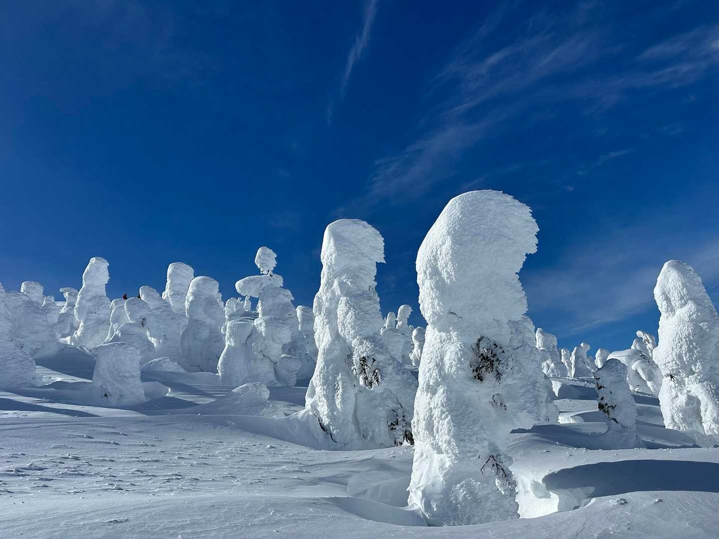 2025 Snowモンスターツアー西吾妻山2035m❄️ / こんこんの登山データ