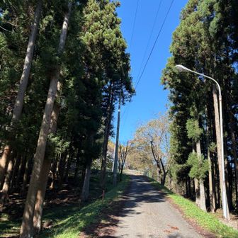 ちょっと登り足りないので、キャンプ場の奥の男山へ行ってみます