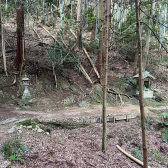 いい感じのところにきました