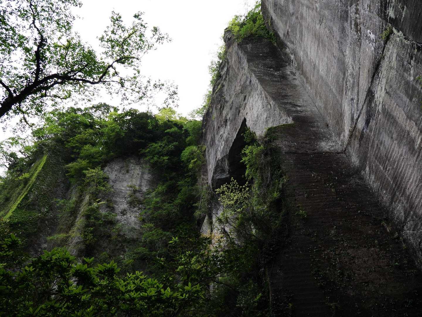 鋸山 往復コースの写真