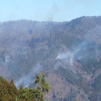 早く火がおさまってほしいです