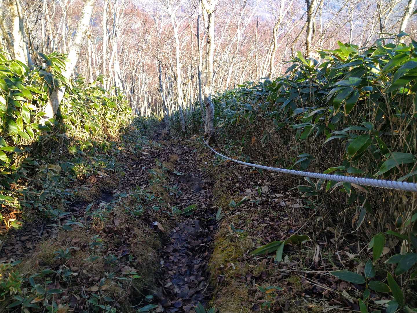 急登ばかりでした