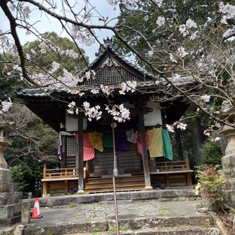 The location of the famous kannon 