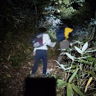 笠新道…あんまり良い話聞かないけどつづら折りで直登でないから全然登り易い普通の登山道😊これ…新潟だったら多分直登コースだね😆