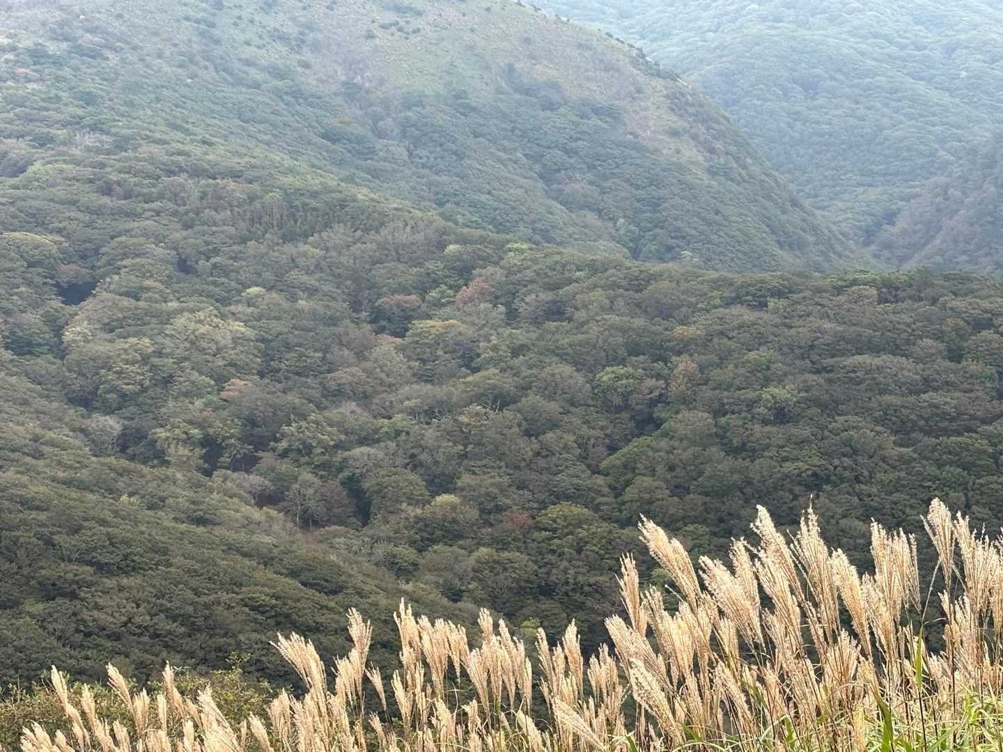 紅葉はもう少し先…🍁