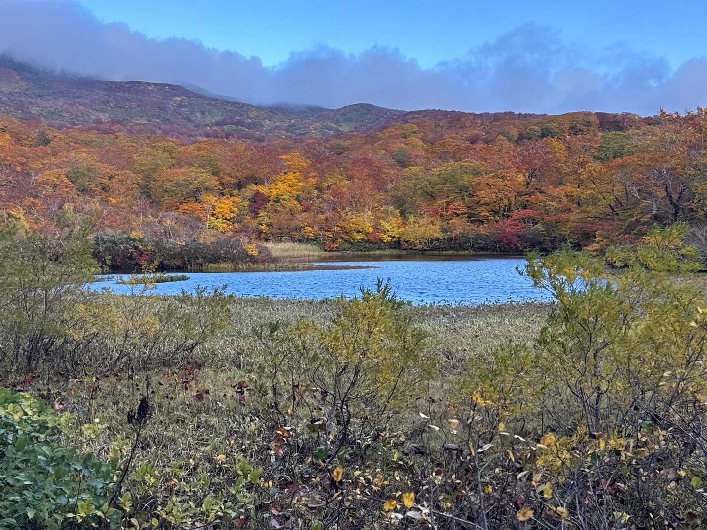 焼石岳 2025-10-19 強風撤退 / ischanさんの焼石岳・兎森山・鷲ヶ森山の活動データ | YAMAP / ヤマップ