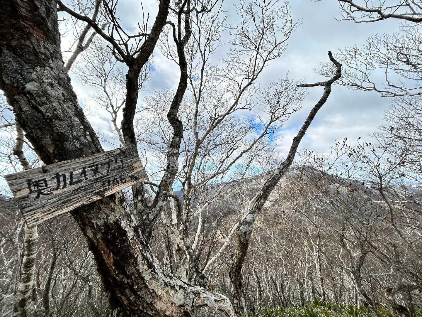 奥カムイヌプリ山頂🏔️👏
その奥に見えるのは鷲別岳🏔️
山頂は🌪️があり気温も下がった(0℃)ので、今回は向かいません

☀️出ていても🌪️があると一気に寒く感じます
休憩するにはちょっと厳しかった💦
お腹激減りなので行動食で済まして下山します🚶🏻