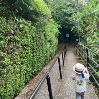 ぴょんぴょん跳ねながら、楽しく下山中🏃‍♂️‍➡️