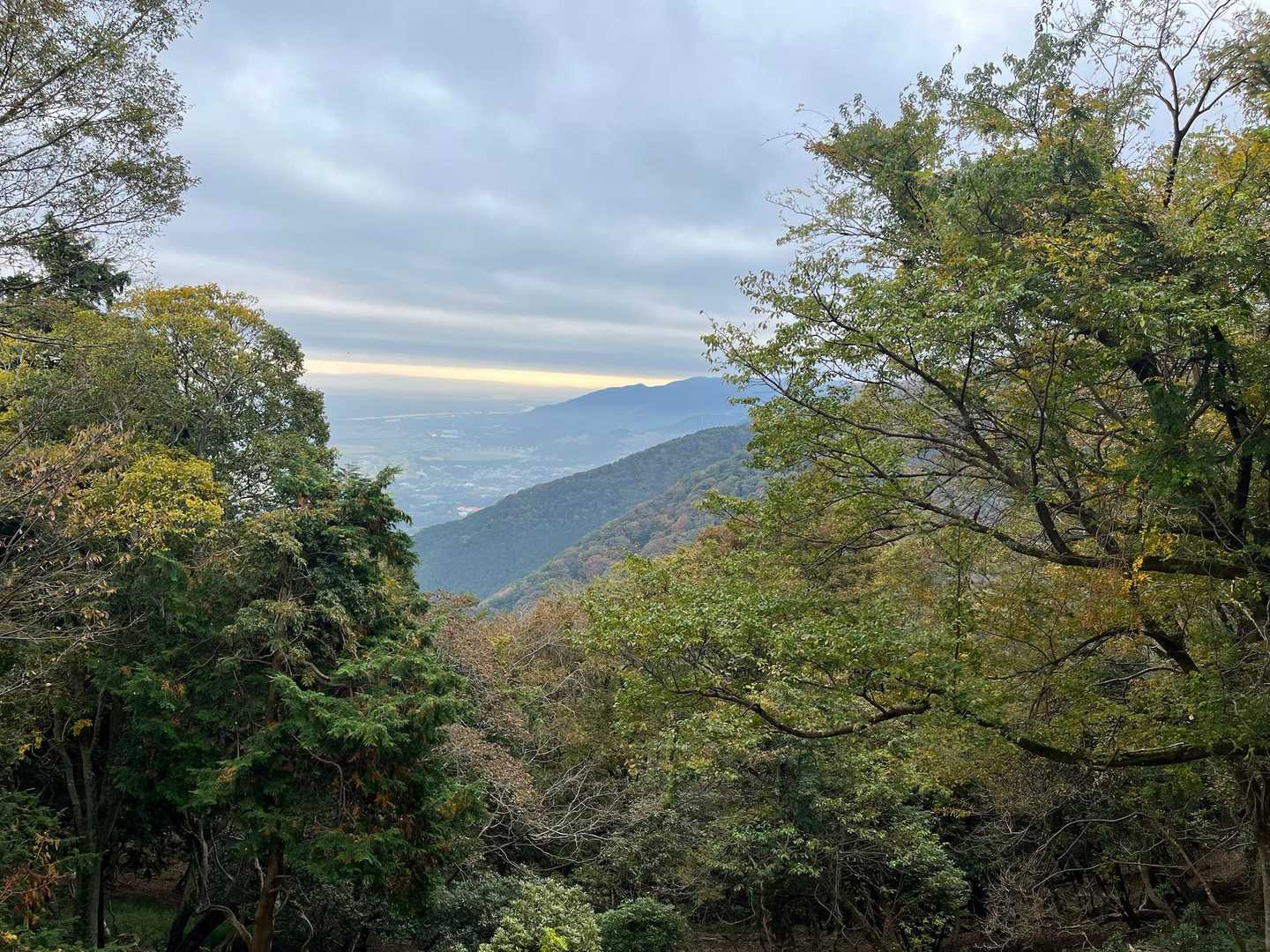 多度山かなー？