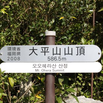 おおへらやま山頂