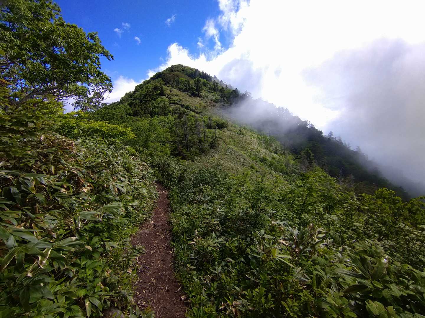 山頂が見えた