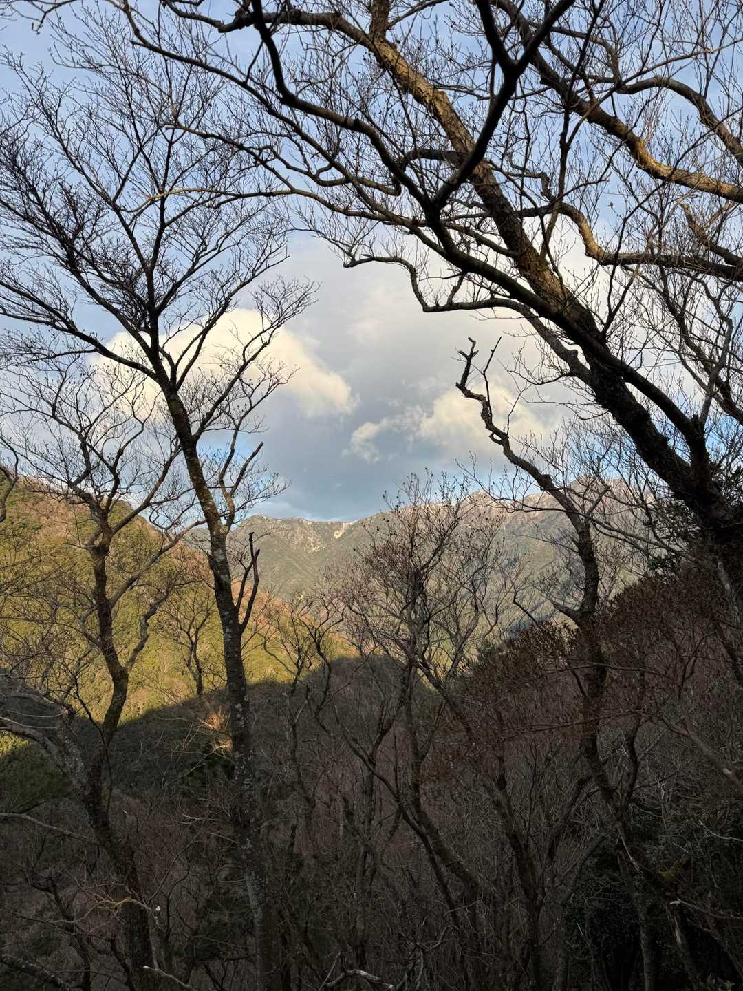 ネコ最高点-ネコ-笠岳-菰野富士 周回コースの写真