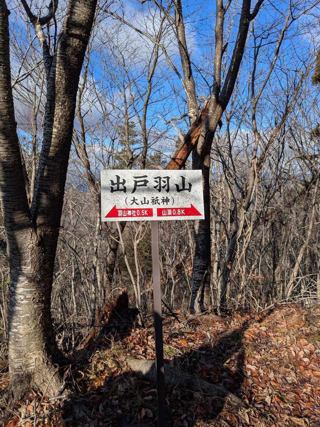 ここ！？と、思ったら、後800メートル