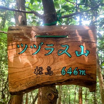山頂は涼しい