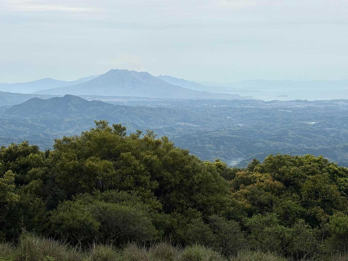桜島だー、ワォー