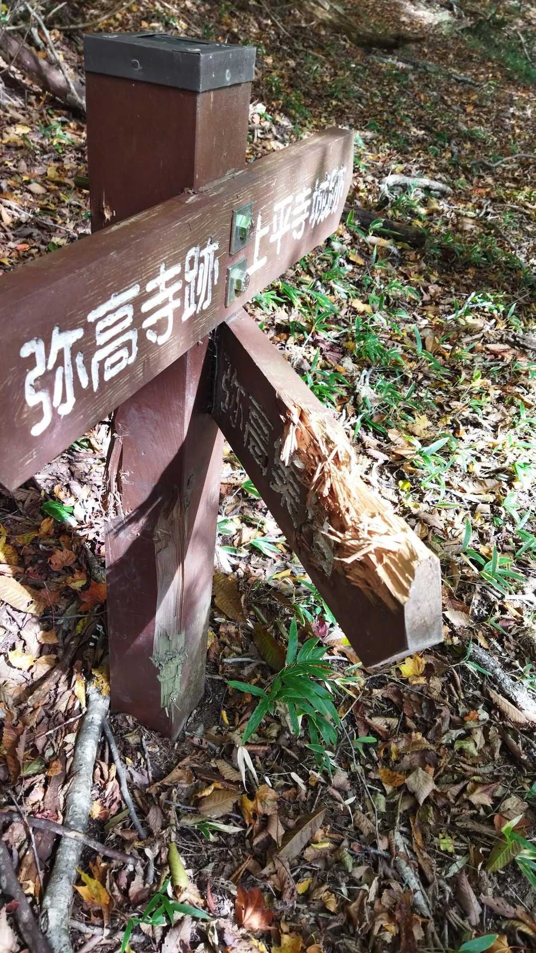 クマ🐻の被害が至る所に❗️