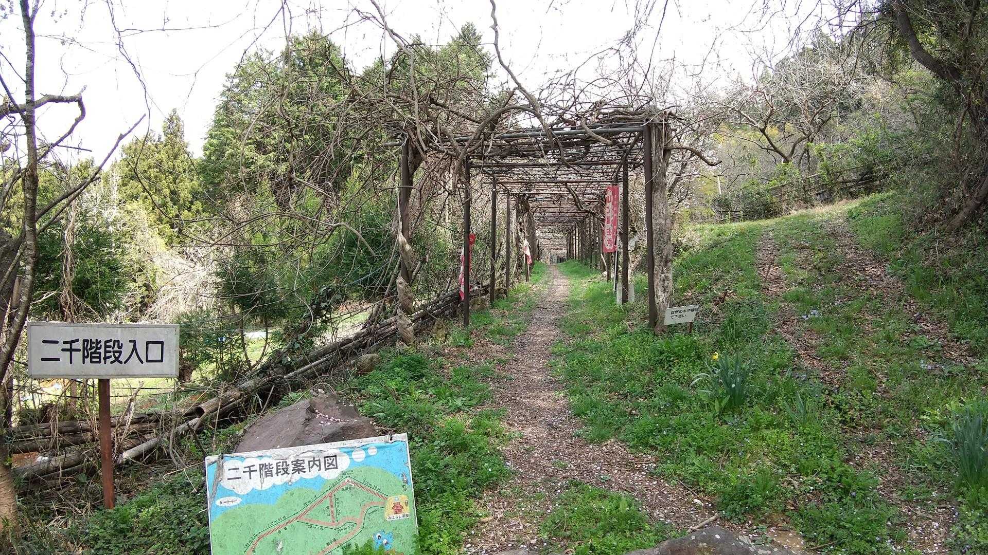 登山口です 藤棚を抜け地獄の階段が始まります🤨
