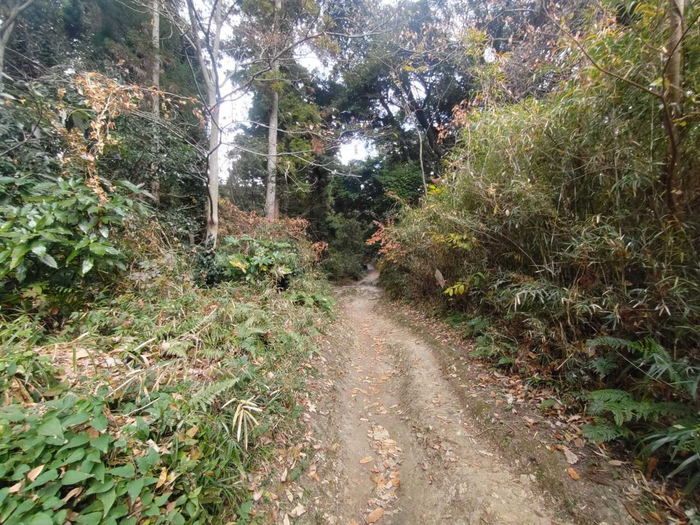 よっしゃ〜、山道になったぁ🤗