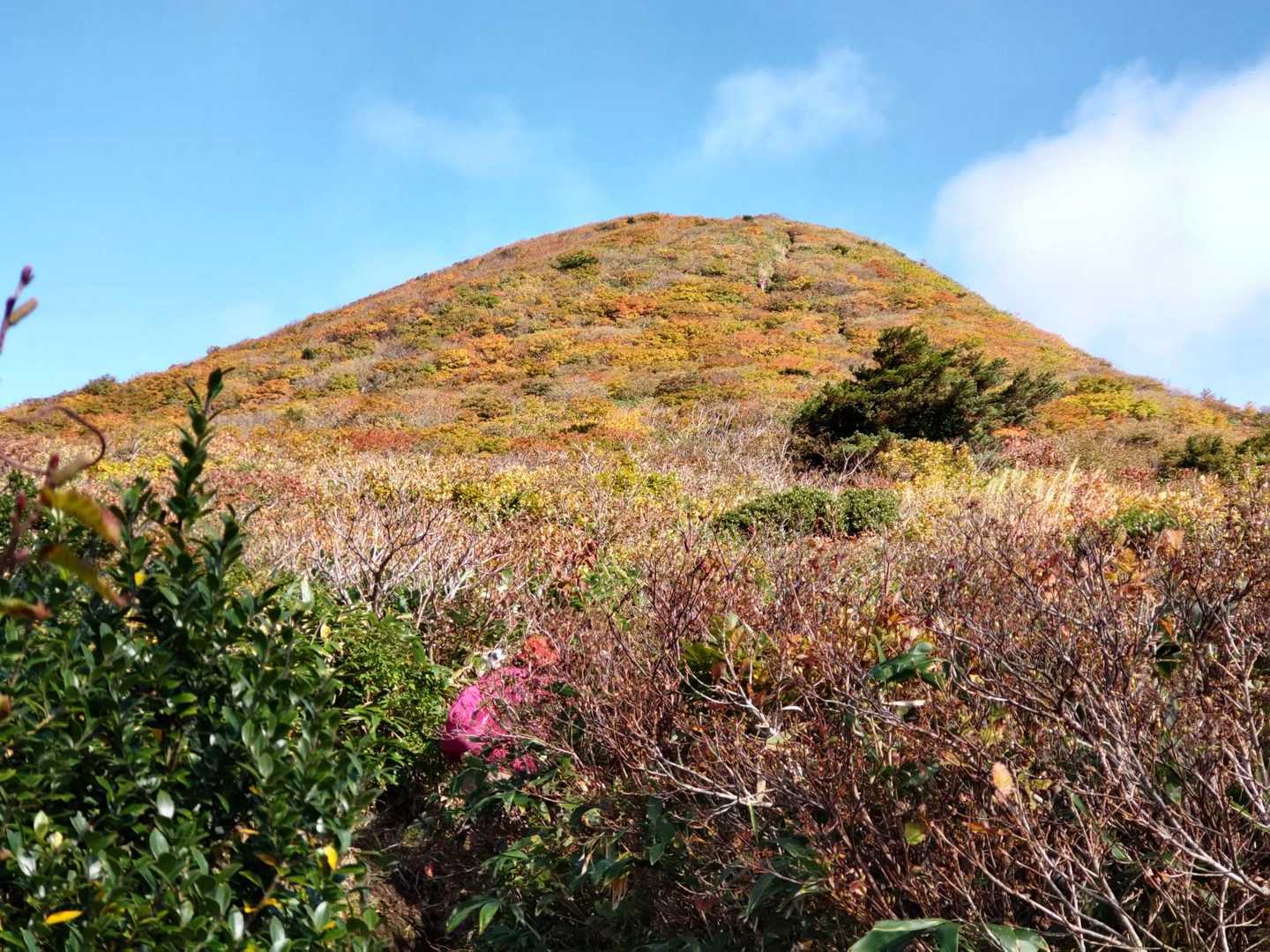 大関山-ハマグリ山-トンガリ山-山形神室岳 周回コースの写真