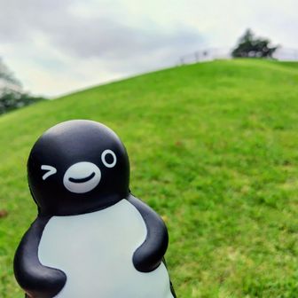 グレーピークの見晴らし山。
どんな景色が見れるかな🐧