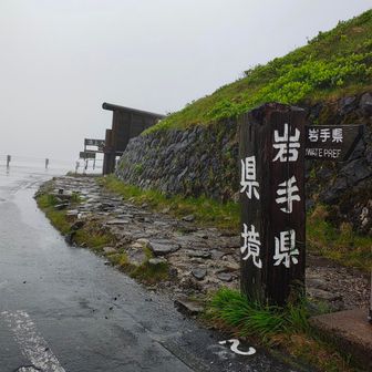岩手☔🤣