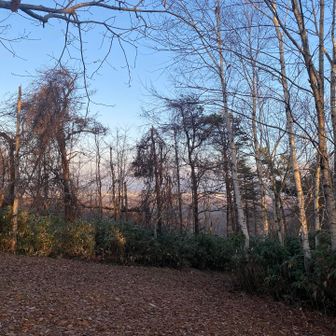 ちょっと街が見える