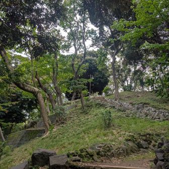 ランチの後、息子家族とはお別れ👋
芝公園の芝丸山をピークハント