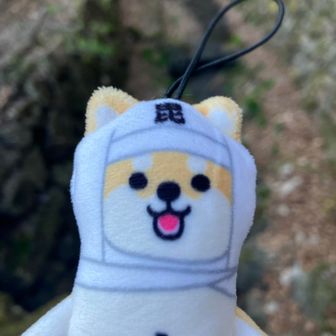 りんちゃん