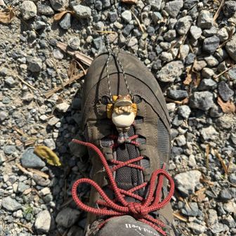 無事下山👍

今日もありがとう🙏

お腹すいたので…