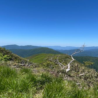 温見峠方面、登山道がみえる。