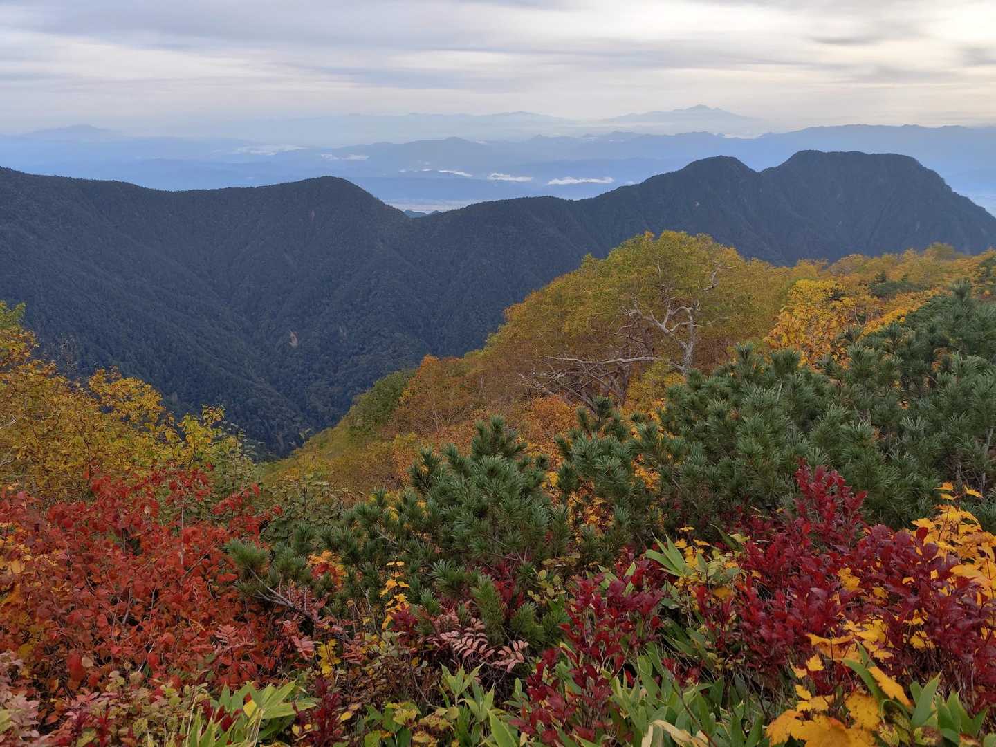 大天井岳 | 常念山脈最高峰は槍・穂高連峰を間近に望む表銀座・パノラマ銀座の要衝の写真
