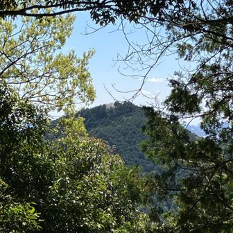 チラッと尾張本宮山👀