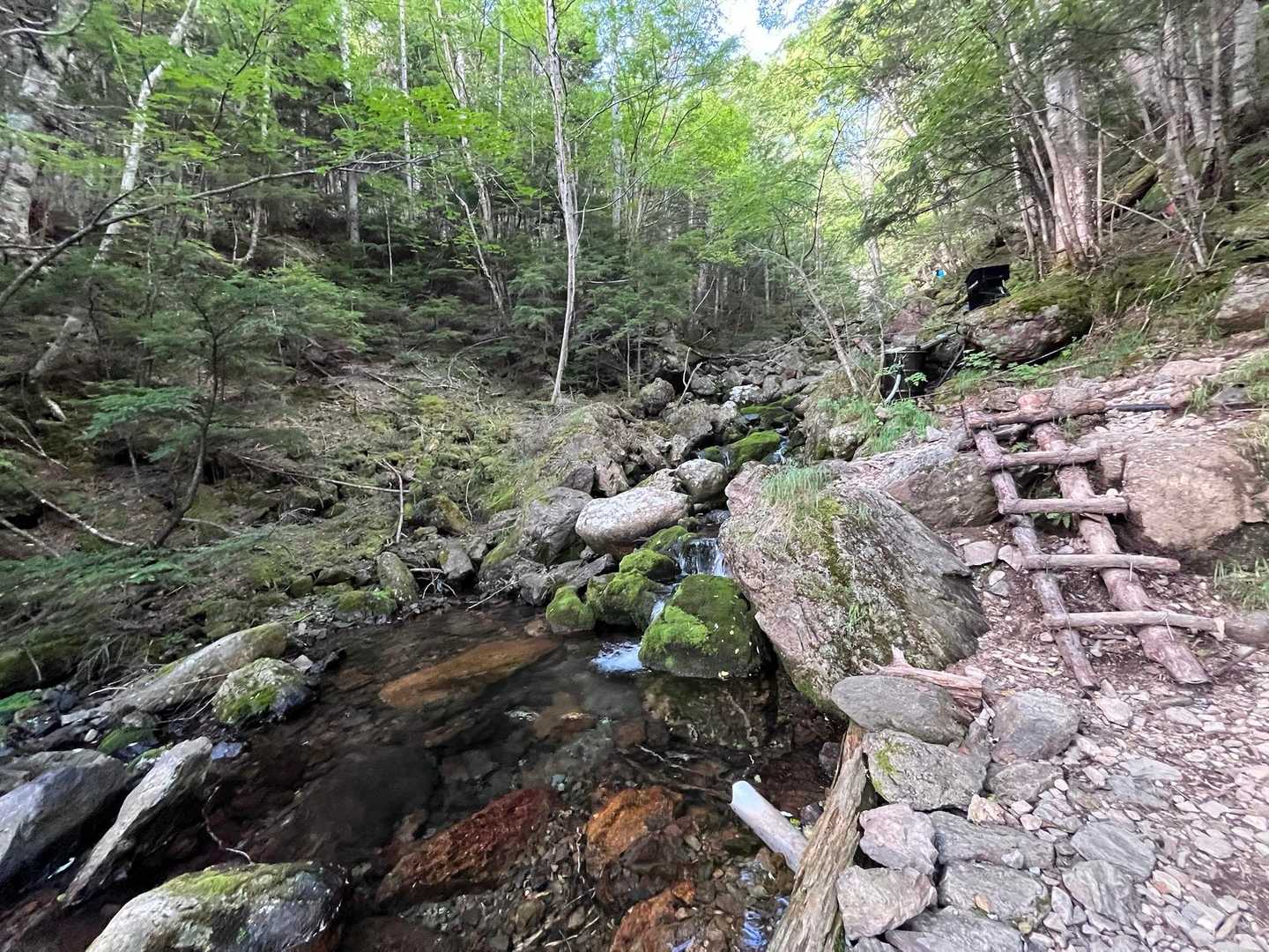 仙水峠-栗沢山 周回コースの写真
