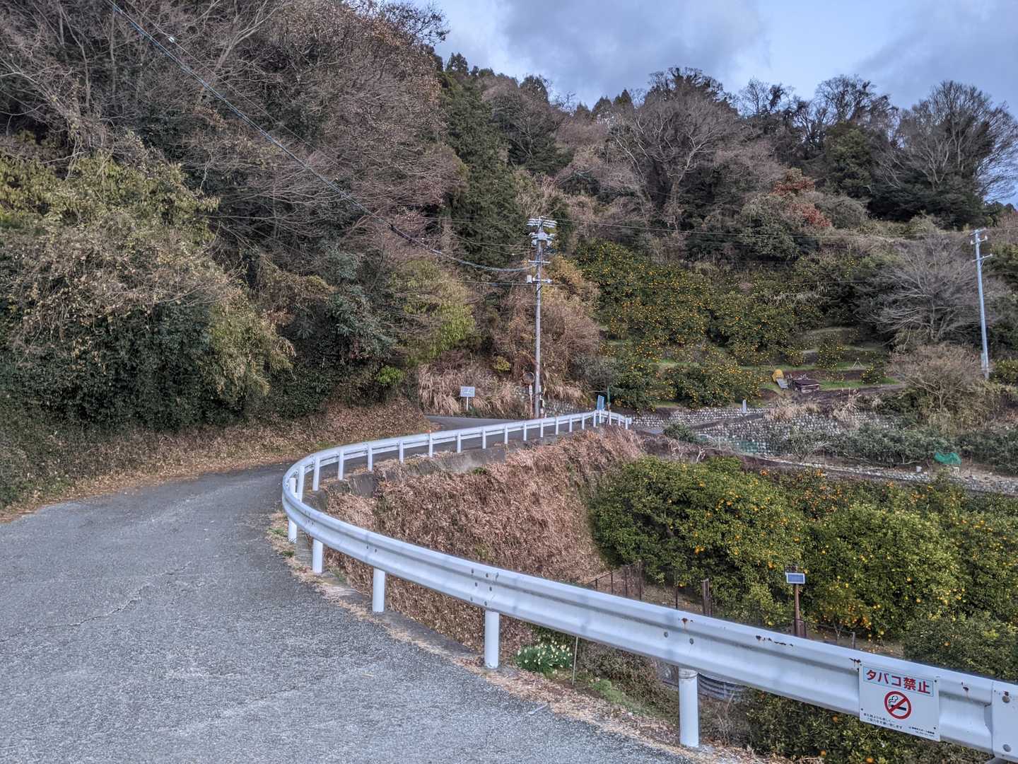 一般道で由比駅に向かいます
すぐ後ろに駐車場があります
