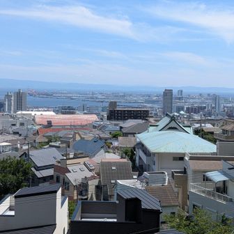 海街diary〜🤩
ズキズキ😅