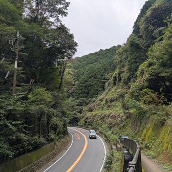 途中一旦道路を渡る