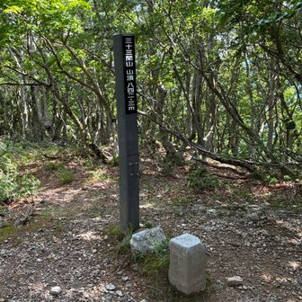 木陰は涼しく気持ちいい