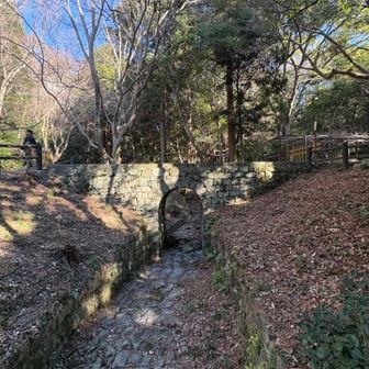 こっちも小さかった…