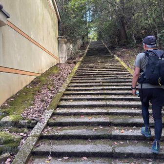 大聖院に向かいます
案外段差があまりないからキツくない